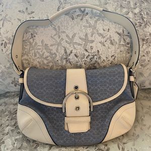 Baby Blue Coach Purse